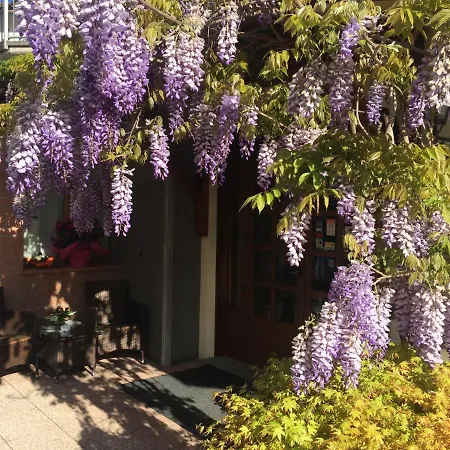 Hotel Ferro Di Cavallo 3*