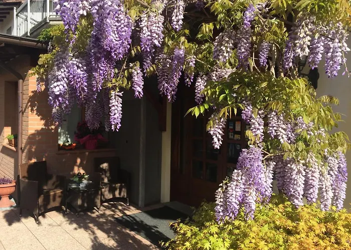 Hotel Ferro Di Cavallo 3*